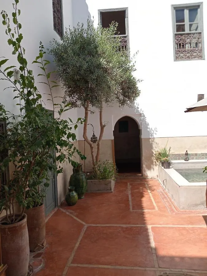 Riad Le Jardin De Mina Marrakesh